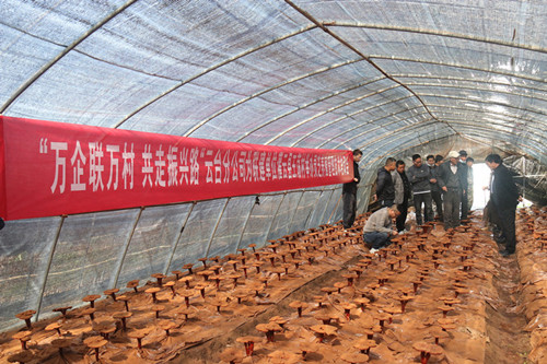 /gb2312/qishiyegonghui/11353.html